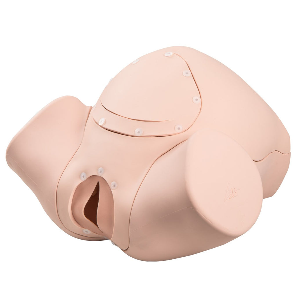 Simulateur d’accouchement P90 BASIC