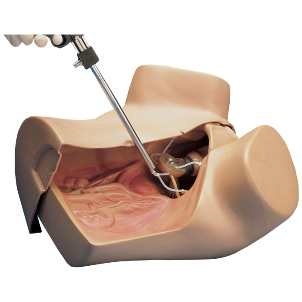 Simulateur gynécologique ZOE®