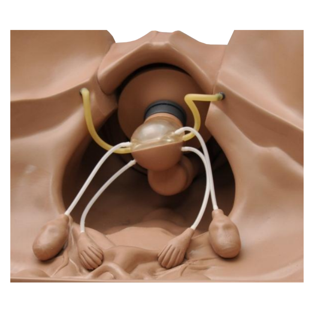 Simulateur gynécologique ZOE®