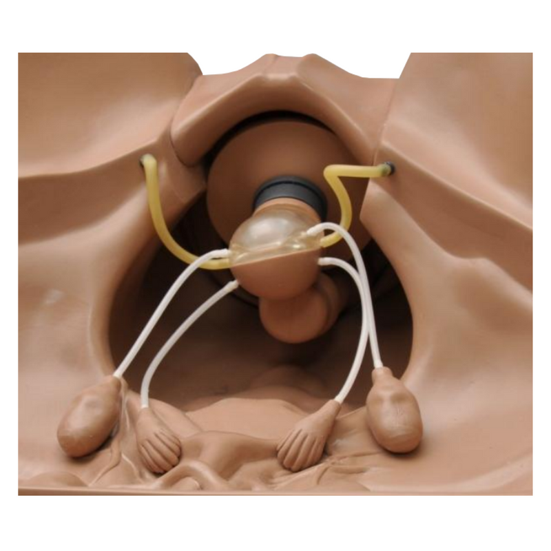 Simulateur gynécologique ZOE®