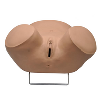 Simulateur gynécologique ZOE®