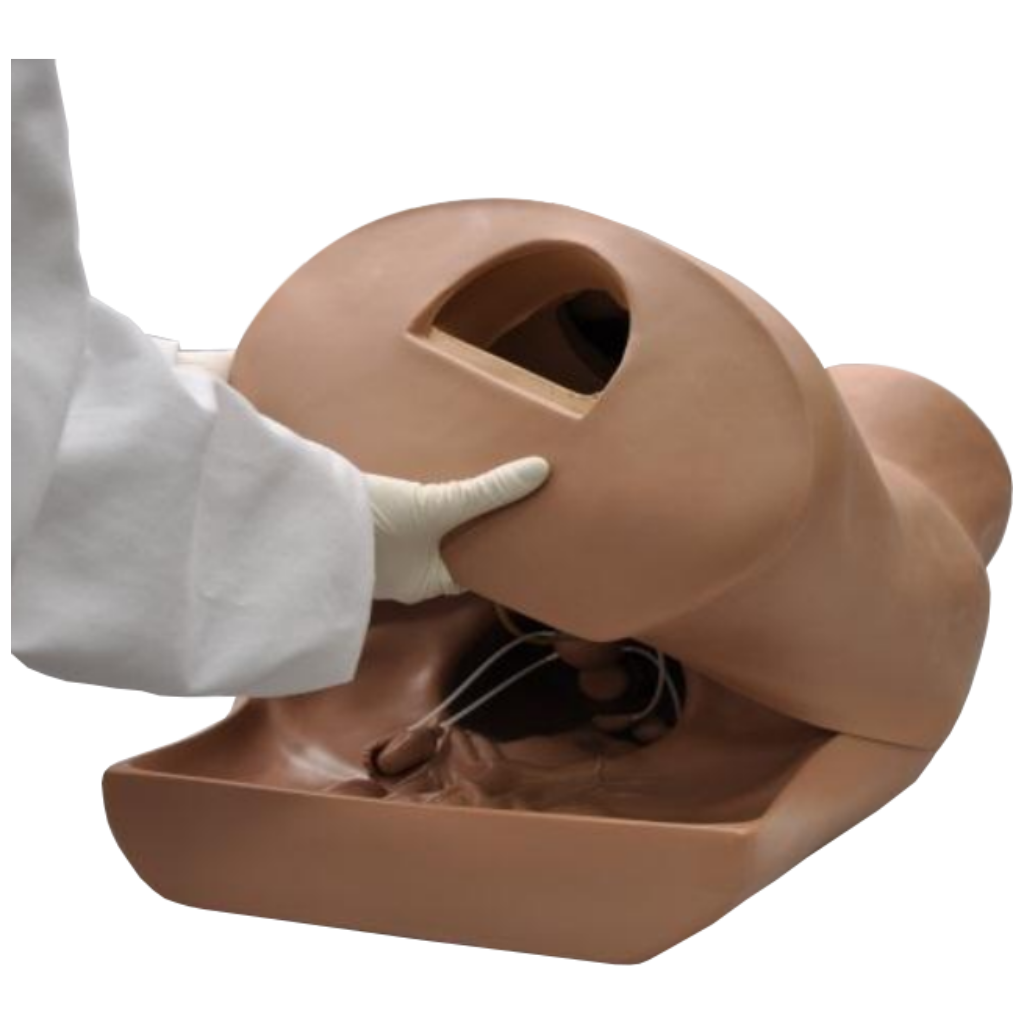 Simulateur gynécologique ZOE®