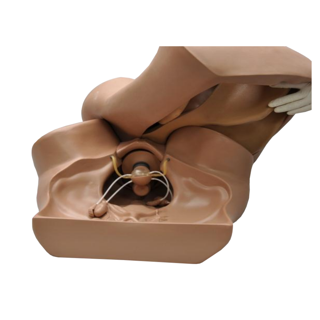 Simulateur gynécologique ZOE®