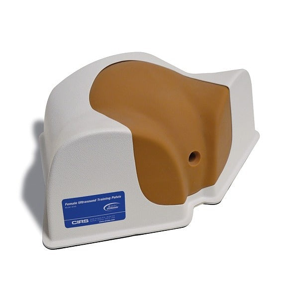 Pelvis d’Entraînement à l’Échographie Féminine 404A