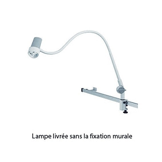 LAMPE HALUX N30-1 P SGV BRAS FLEXIBLE